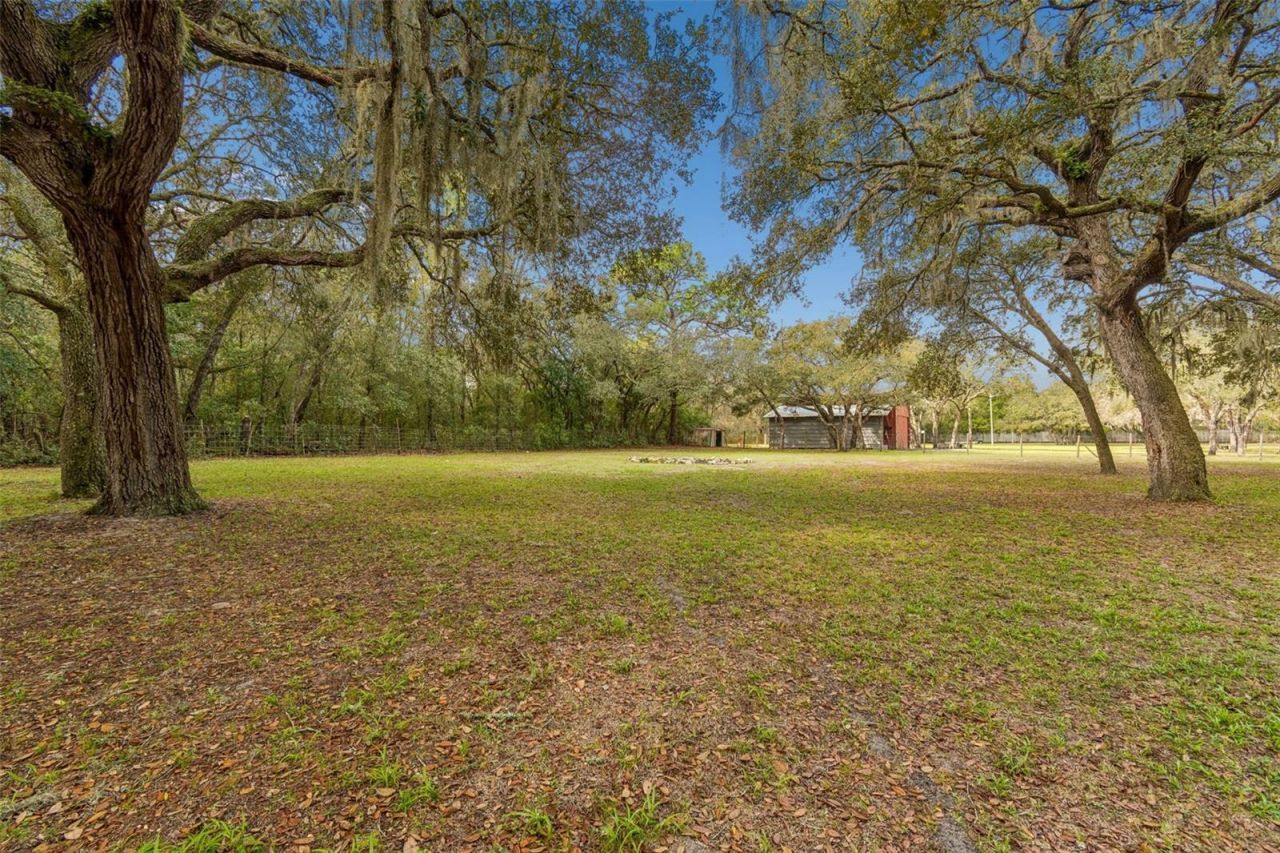 13402 Peace Boulevard, Spring Hill, FL 34610 Photo