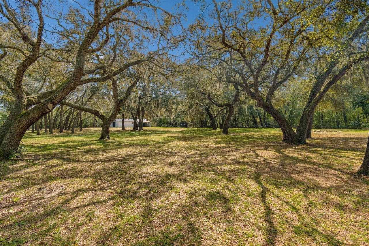 13402 Peace Boulevard, Spring Hill, FL 34610 Photo