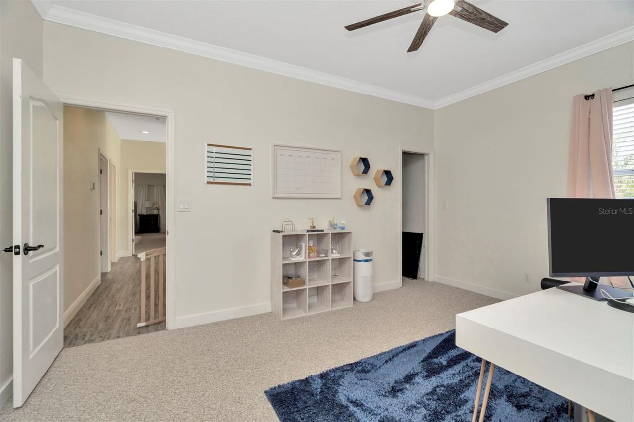 4612 Netherwood Drive, Tampa, FL 33624 Photo