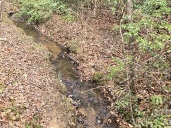 575 Shannons Walk , Lake Lure, NC 28746