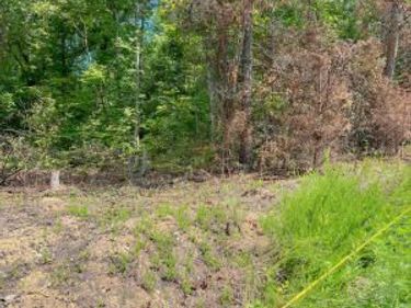 Lot 6 Block E Unit 3 Parrott Drive, Somerset, KY 42501