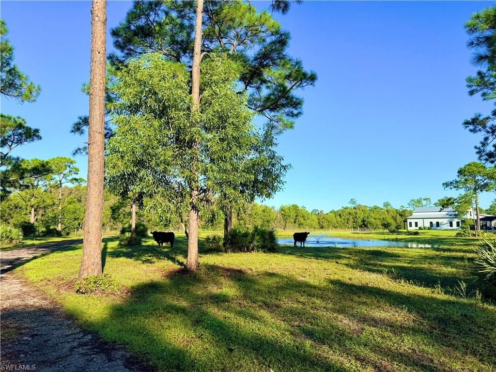 21151 Hidden Woods Trl, Estero, FL 33928 Photo