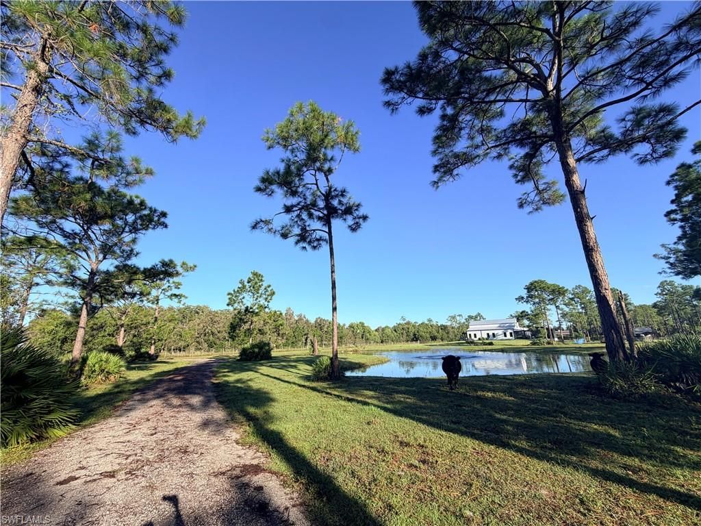 21151 Hidden Woods Trl, Estero, FL 33928 Photo