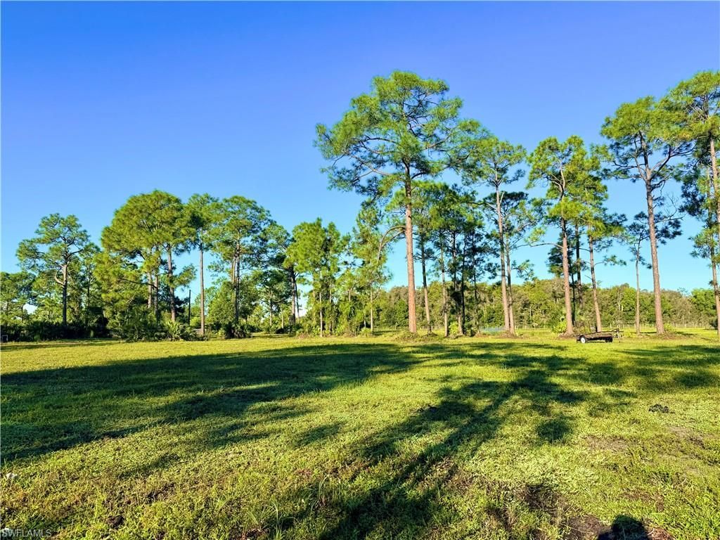 21151 Hidden Woods Trl, Estero, FL 33928 Photo