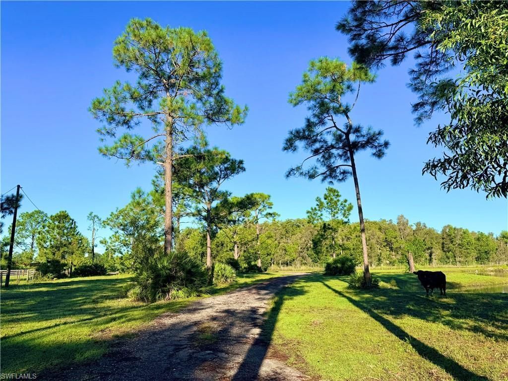 21151 Hidden Woods Trl, Estero, FL 33928 Photo