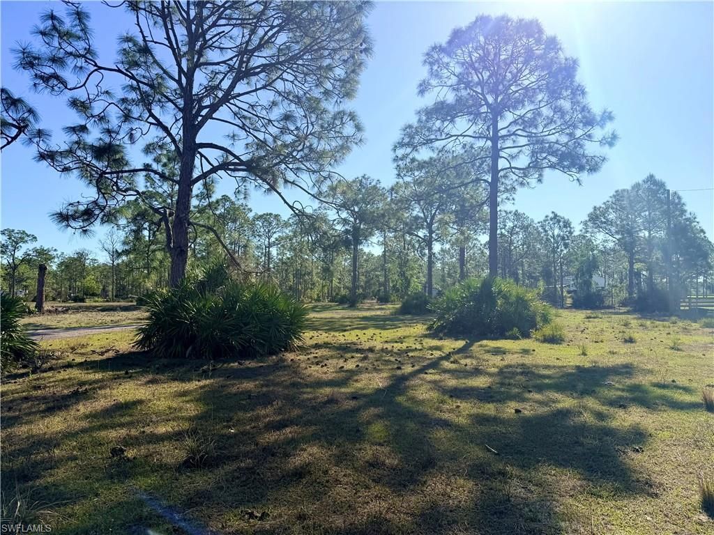 21151 Hidden Woods Trl, Estero, FL 33928 Photo