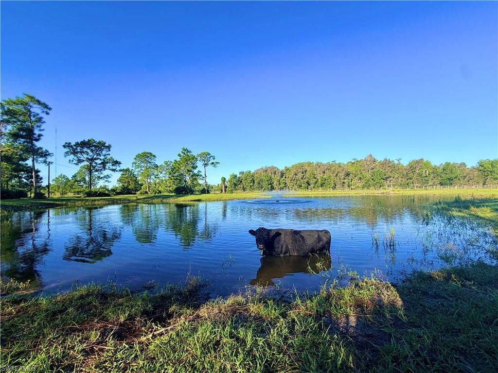 21151 Hidden Woods Trl, Estero, FL 33928 Photo