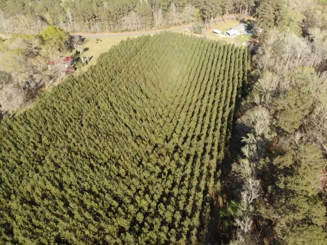 0 Polk Road Photo 10