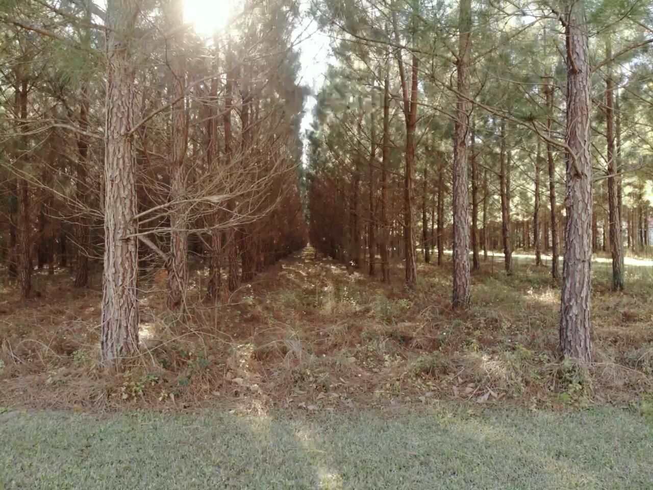 0 Polk Road Photo 13