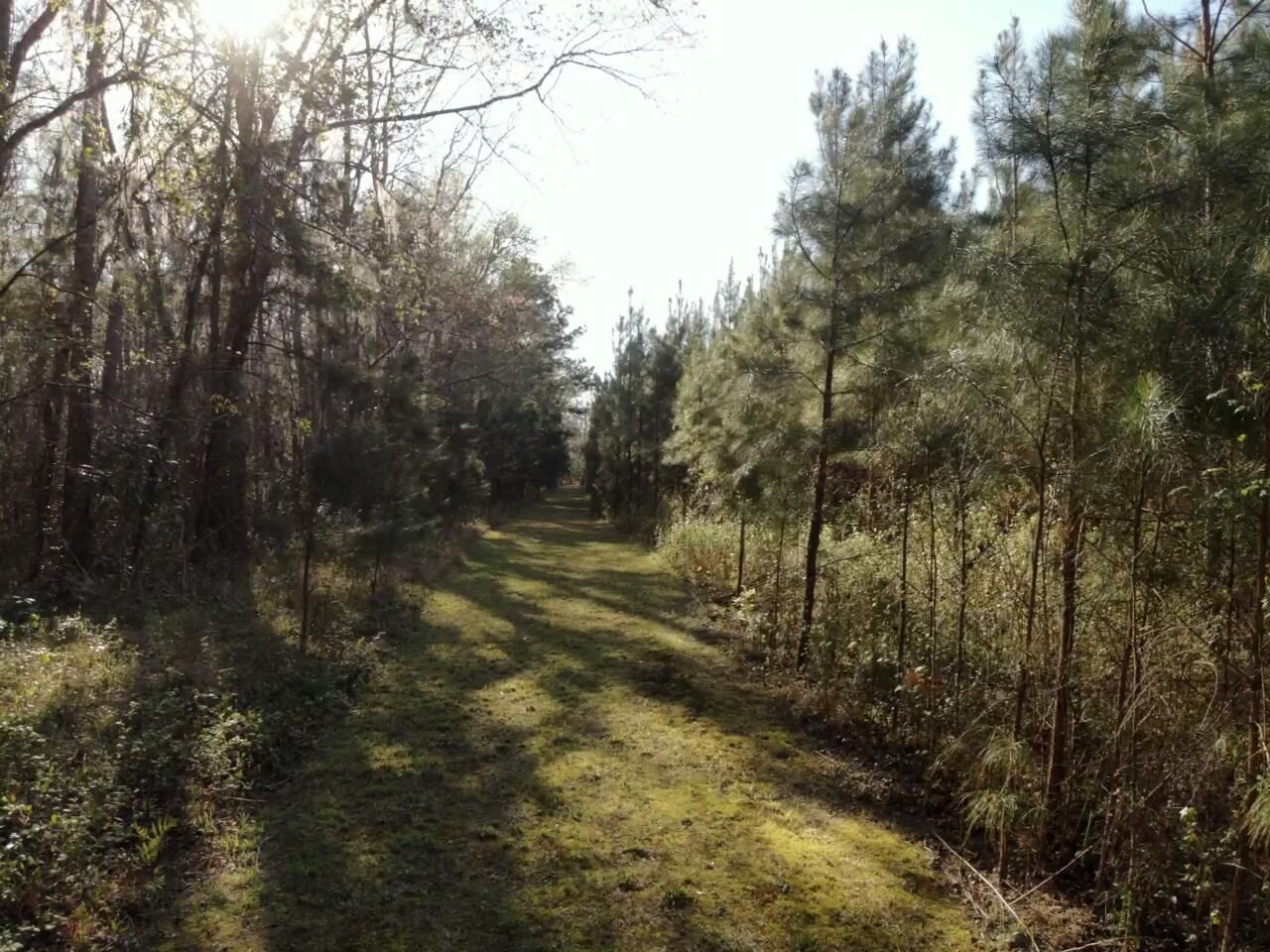 0 Polk Road Photo 14