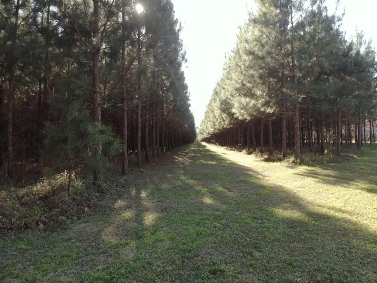 0 Polk Road Photo 15