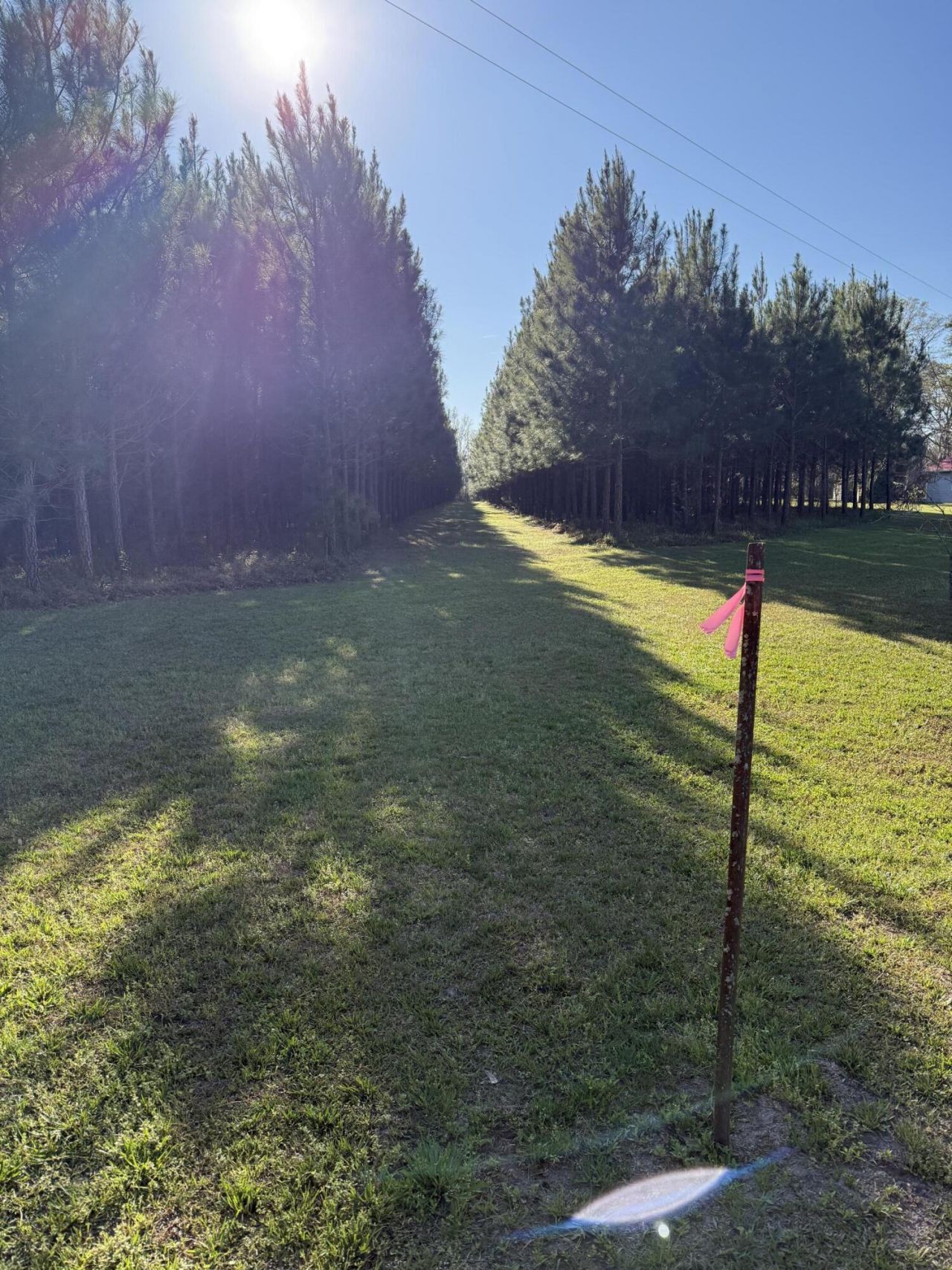 0 Polk Road Photo 16