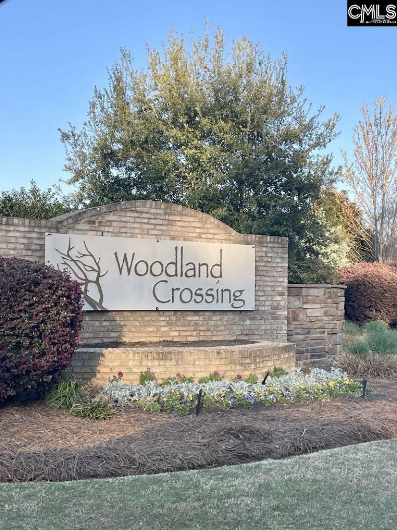 237 Timber Wood Drive  Photo 29