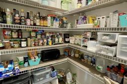 237 Timber Wood Drive  photo 4