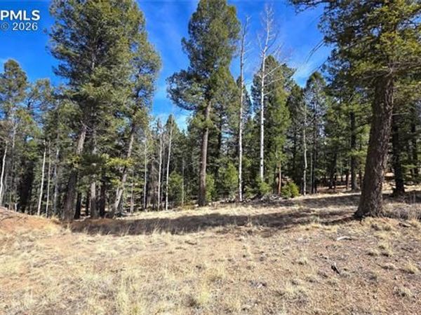 19 Serenity Circle, Florissant, CO 80816