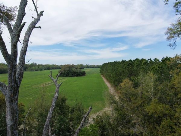 SW CR 344 , TRENTON, FL 32693