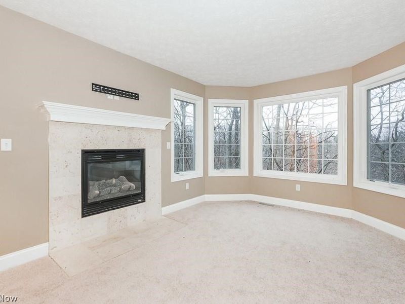 3729 Edgehill Drive, Cleveland, OH 44121 Photo 22