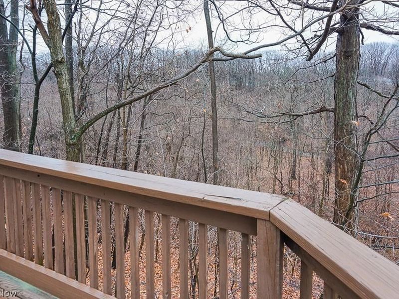 3729 Edgehill Drive, Cleveland, OH 44121 Photo 30