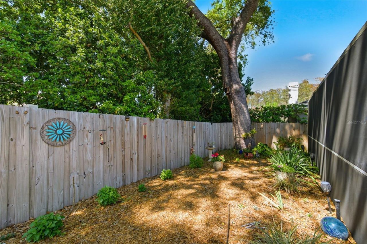 2936 Spring Oak Court, Palm Harbor, FL 34684 Photo