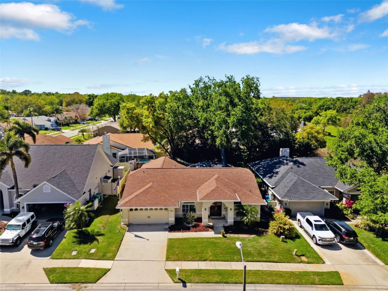 2936 Spring Oak Court, Palm Harbor, FL 34684 Photo