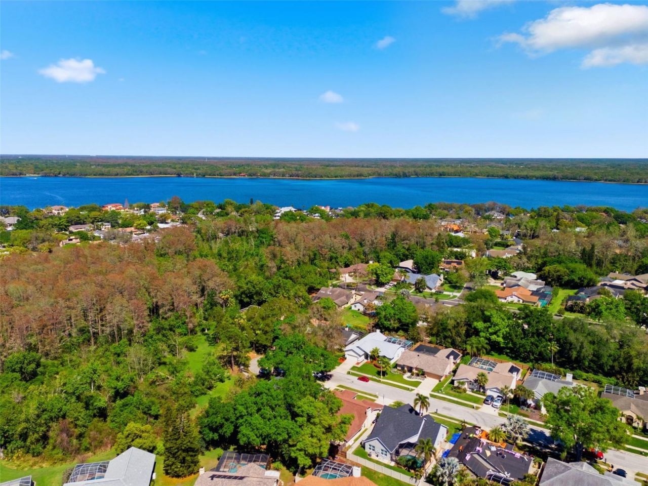 2936 Spring Oak Court, Palm Harbor, FL 34684 Photo