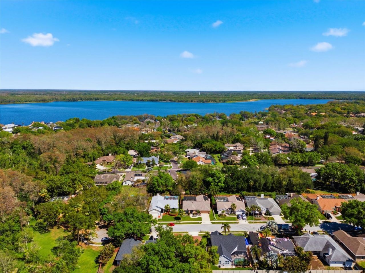 2936 Spring Oak Court, Palm Harbor, FL 34684 Photo