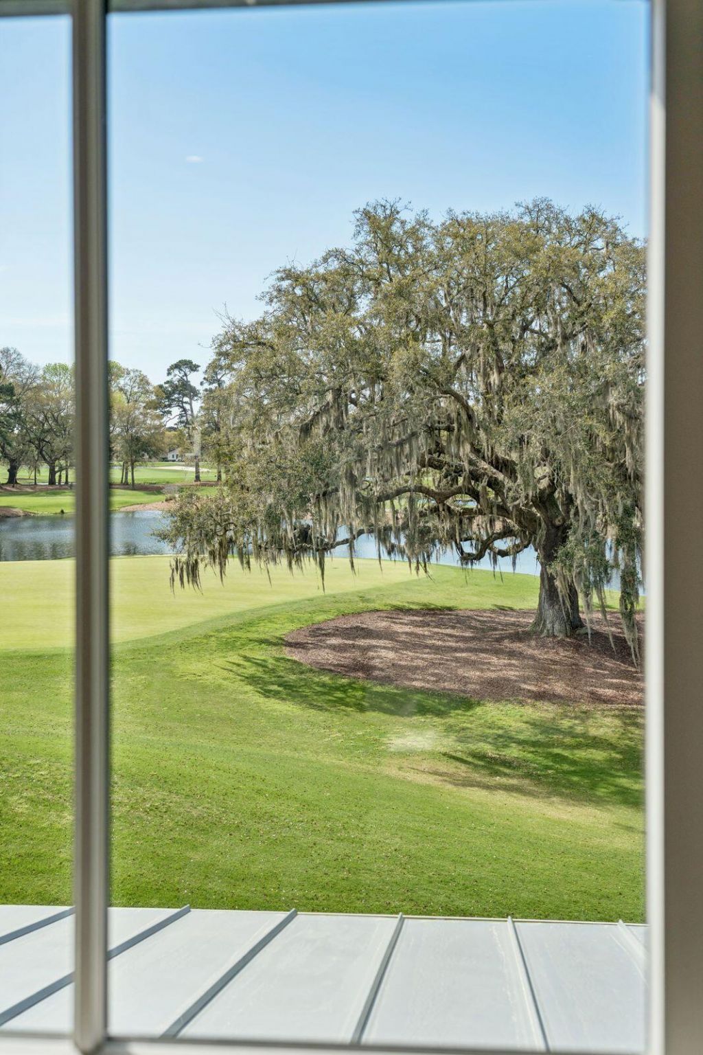 4517 Hope Plantation Drive Photo 54