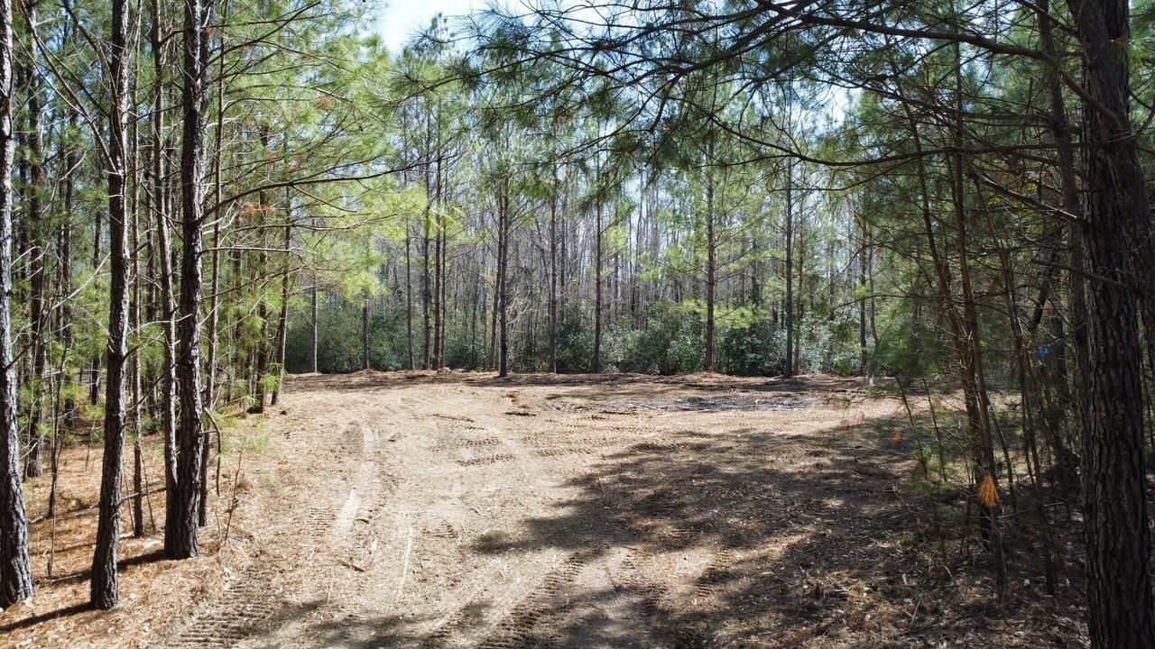 Tbd Green Sea Rd. Photo 10