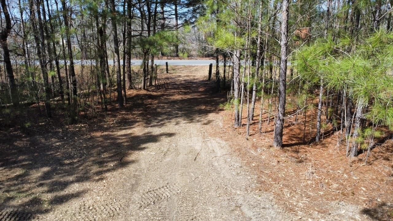 Tbd Green Sea Rd. Photo 4