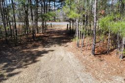 Tbd Green Sea Rd. photo 4