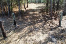 Tbd Green Sea Rd. photo 4