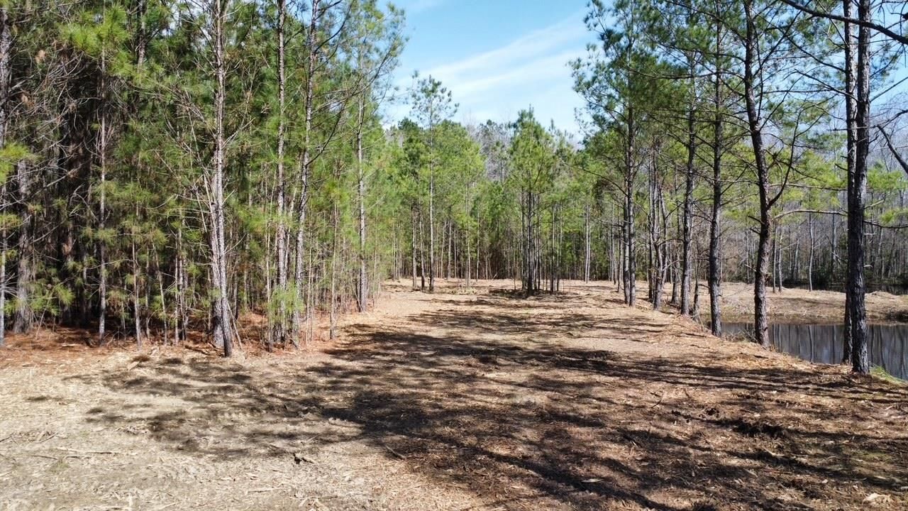 Tbd Green Sea Rd. Photo 6