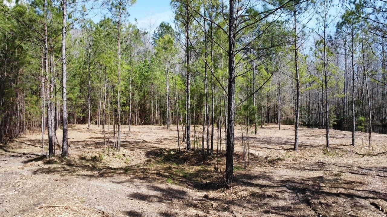 Tbd Green Sea Rd. Photo 7