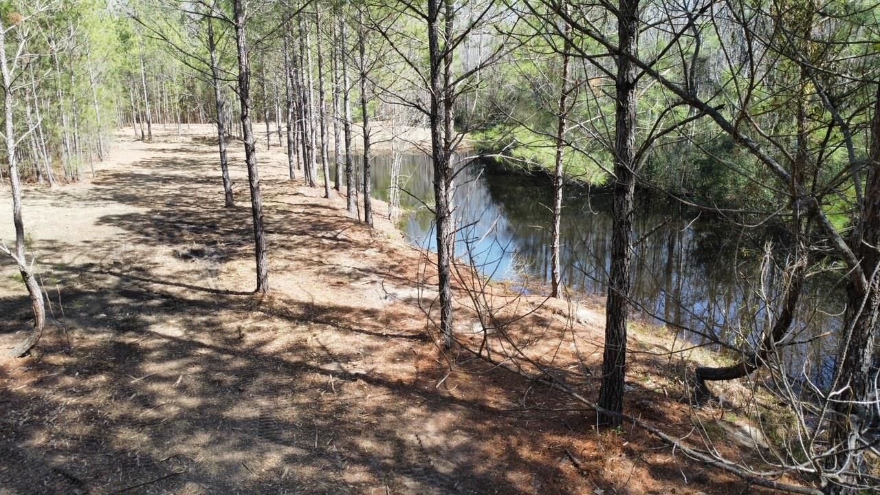 Tbd Green Sea Rd. Photo 8