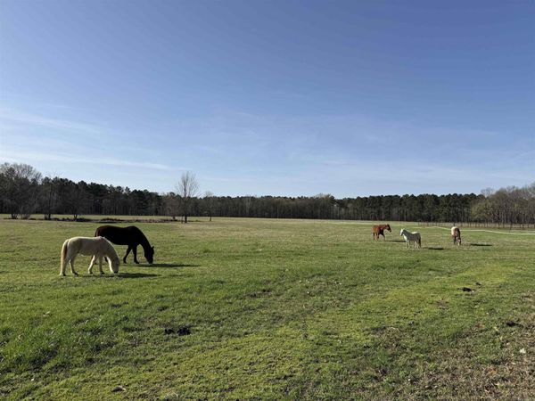 000 Sunshine Ln., Pangburn, AR 72121