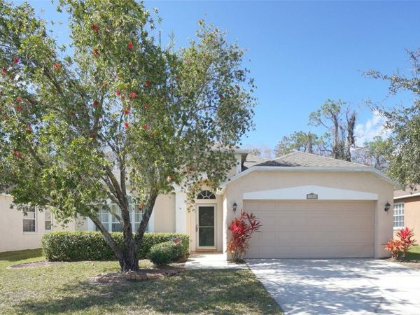 14330 MOON FLOWER DRIVE, TAMPA, FL 33626