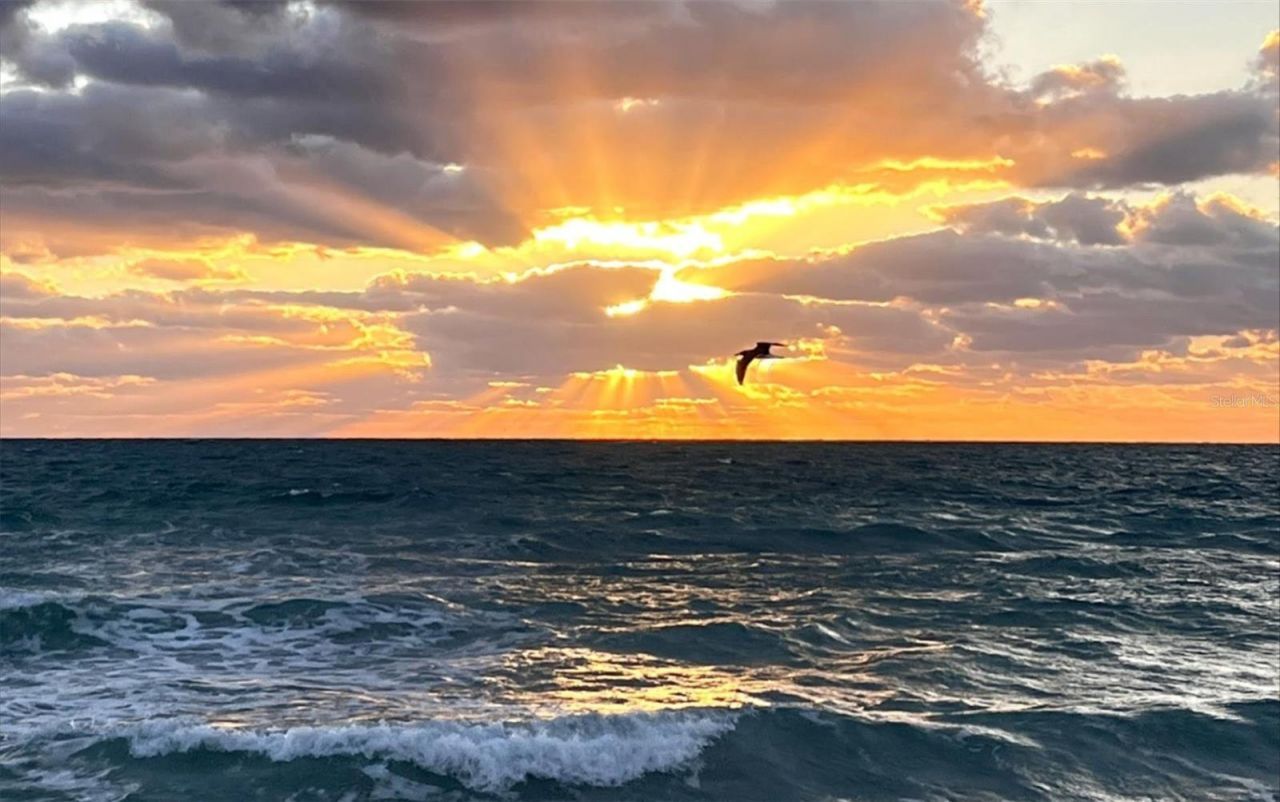 3606 S Peninsula Drive , Unit 614, Port Orange, FL 32127 Photo