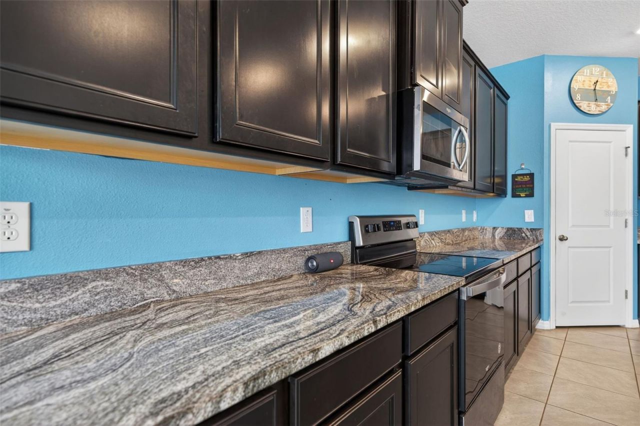 13454 Golden Lime Avenue, Spring Hill, FL 34609 Photo
