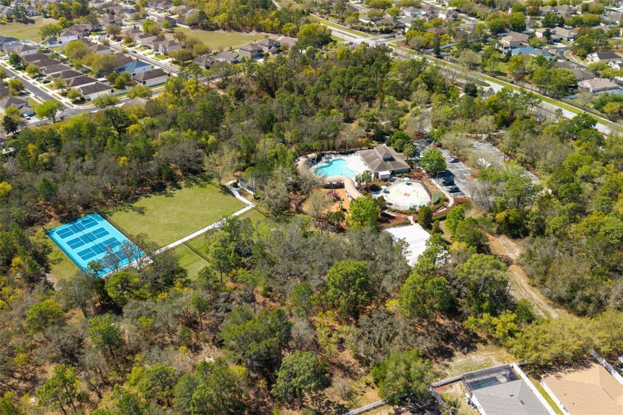 13454 Golden Lime Avenue, Spring Hill, FL 34609 Photo