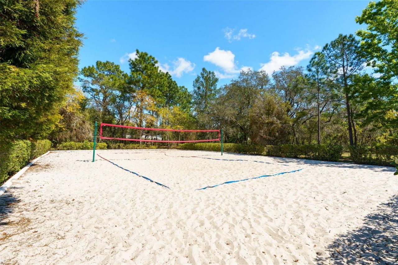 13454 Golden Lime Avenue, Spring Hill, FL 34609 Photo
