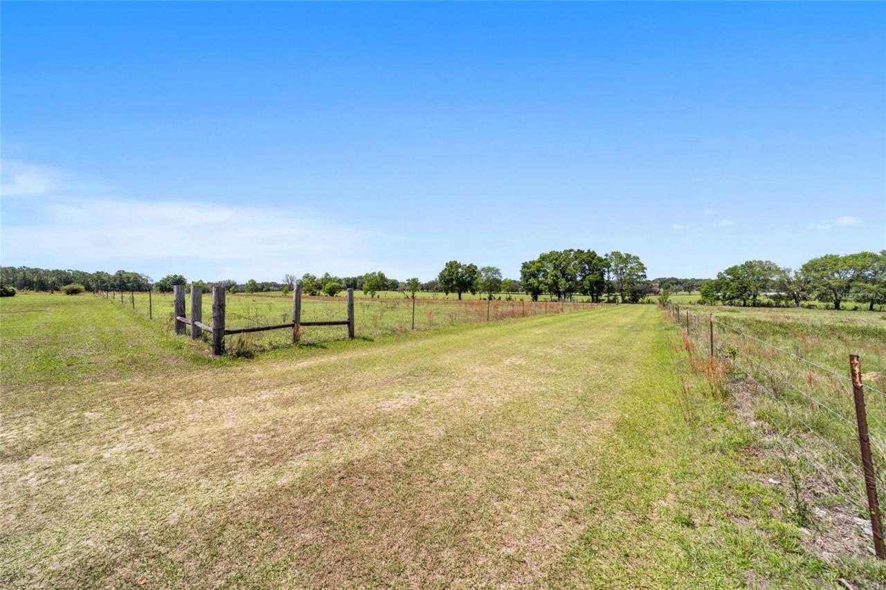 19355 SW 25th Place, Dunnellon, FL 34431 Photo