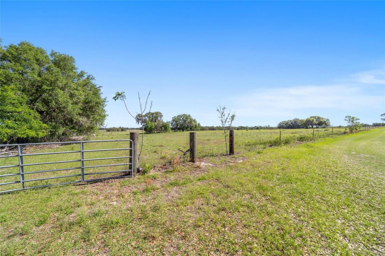 19355 SW 25th Place, Dunnellon, FL 34431 Photo