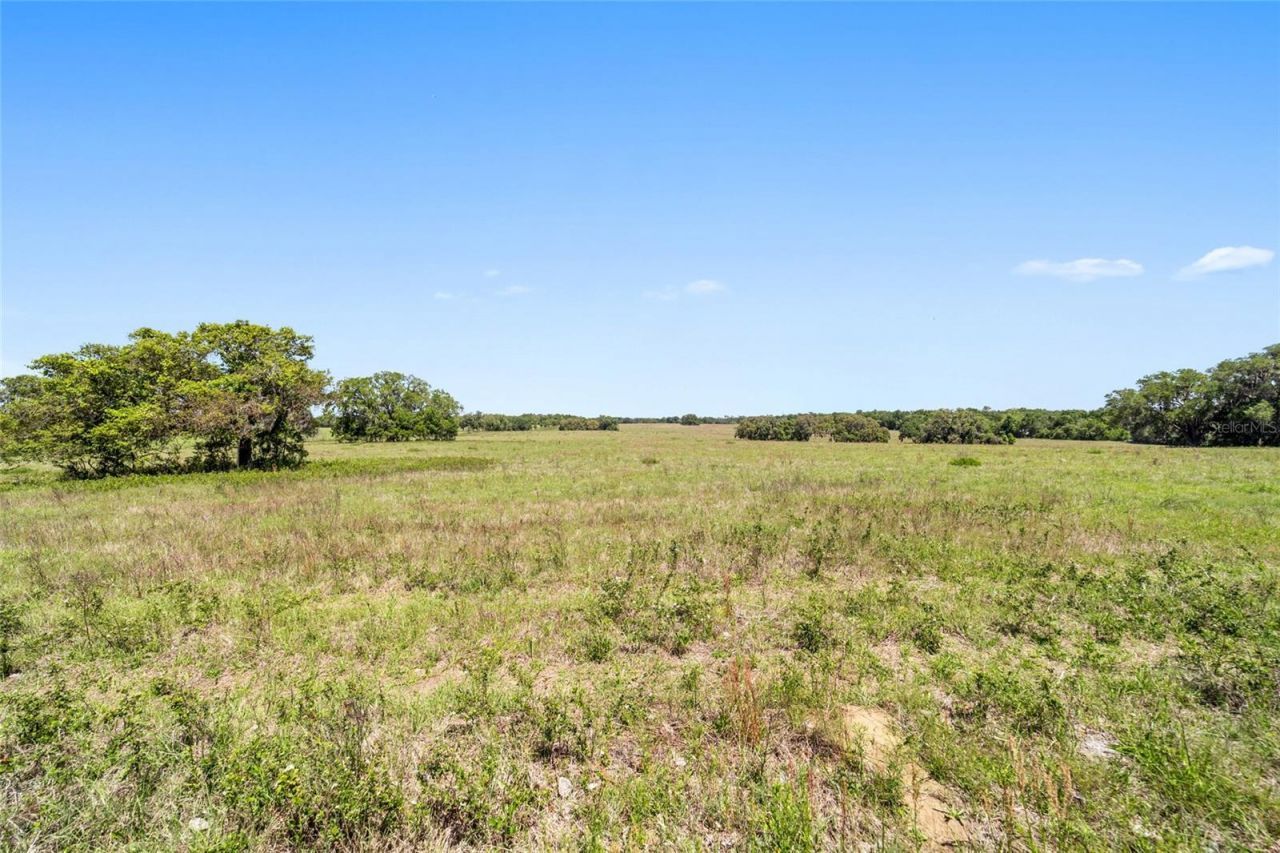 19355 SW 25th Place, Dunnellon, FL 34431 Photo