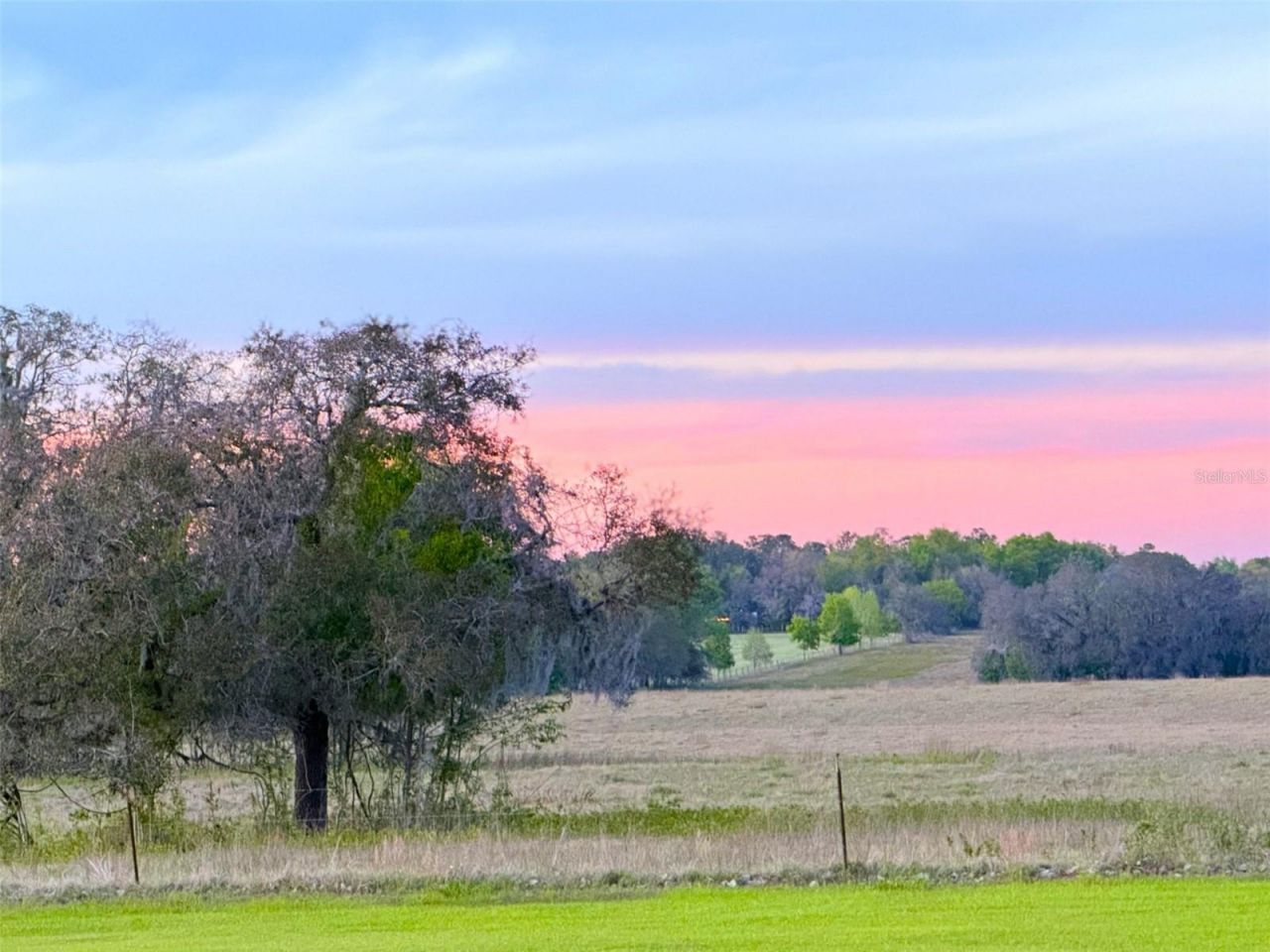 19355 SW 25th Place, Dunnellon, FL 34431 Photo