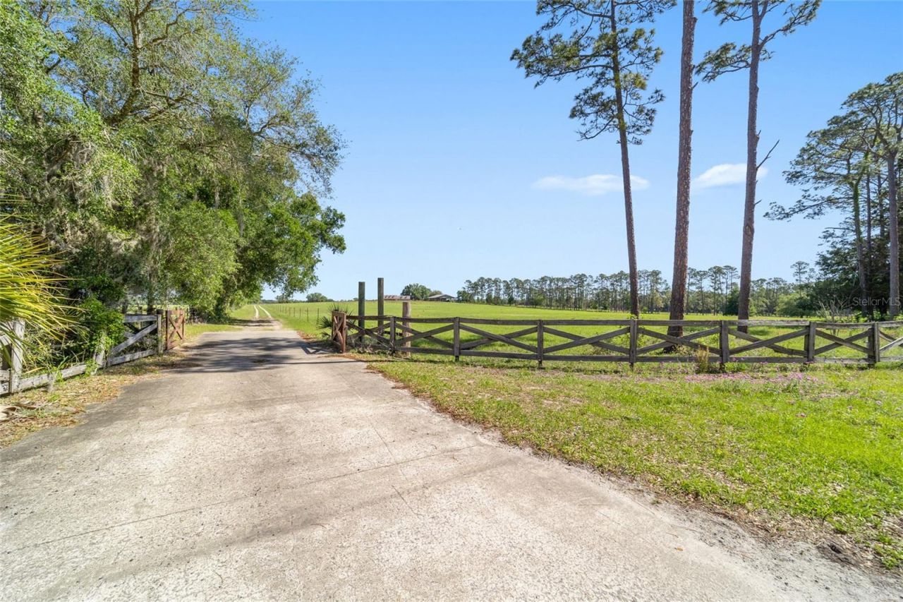 19355 SW 25th Place, Dunnellon, FL 34431 Photo