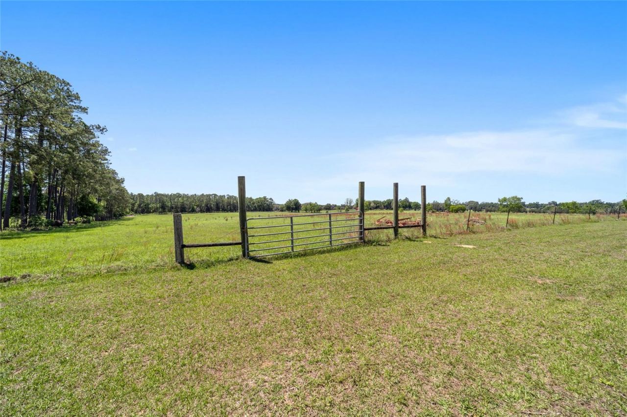 19355 SW 25th Place, Dunnellon, FL 34431 Photo