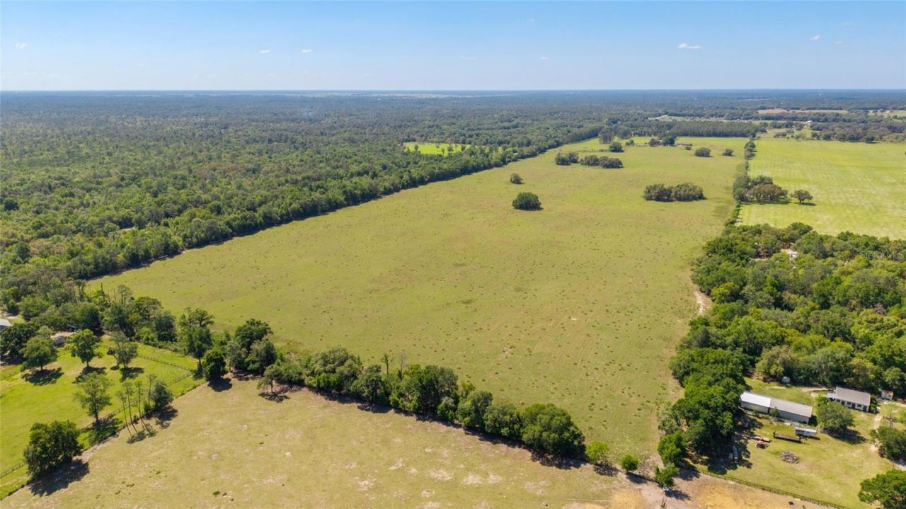 19355 SW 25th Place, Dunnellon, FL 34431 Photo