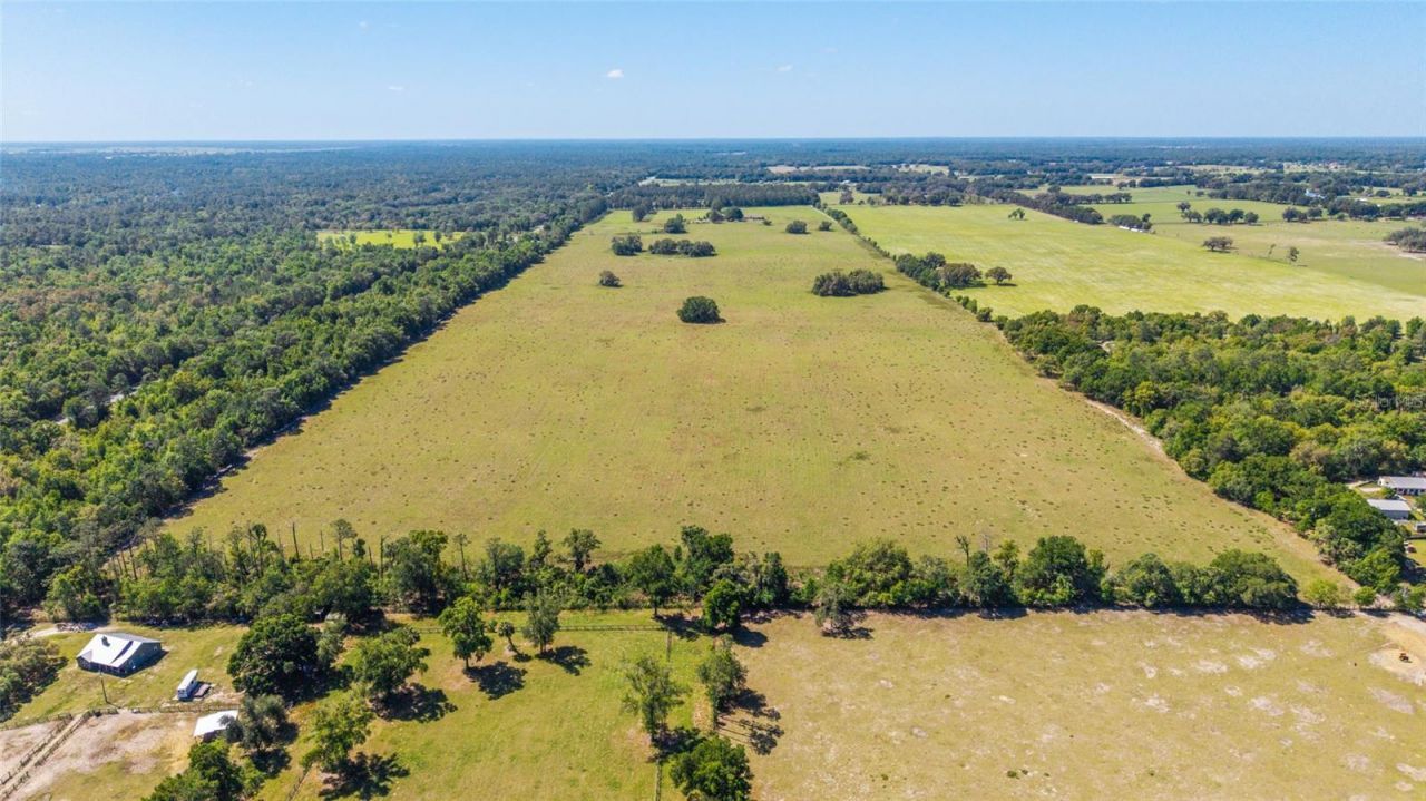 19355 SW 25th Place, Dunnellon, FL 34431 Photo