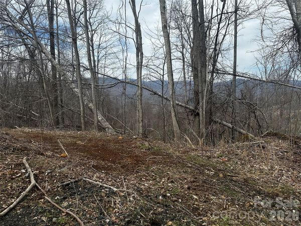 00 Bear Ridge Road , Bakersville, NC 28705