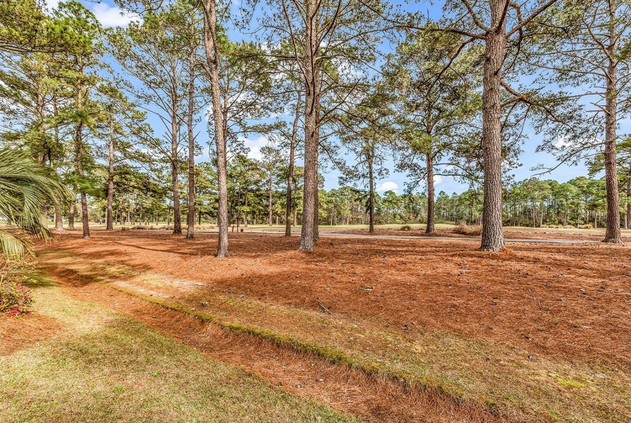 606 Trawler Bay Ct. Photo 60
